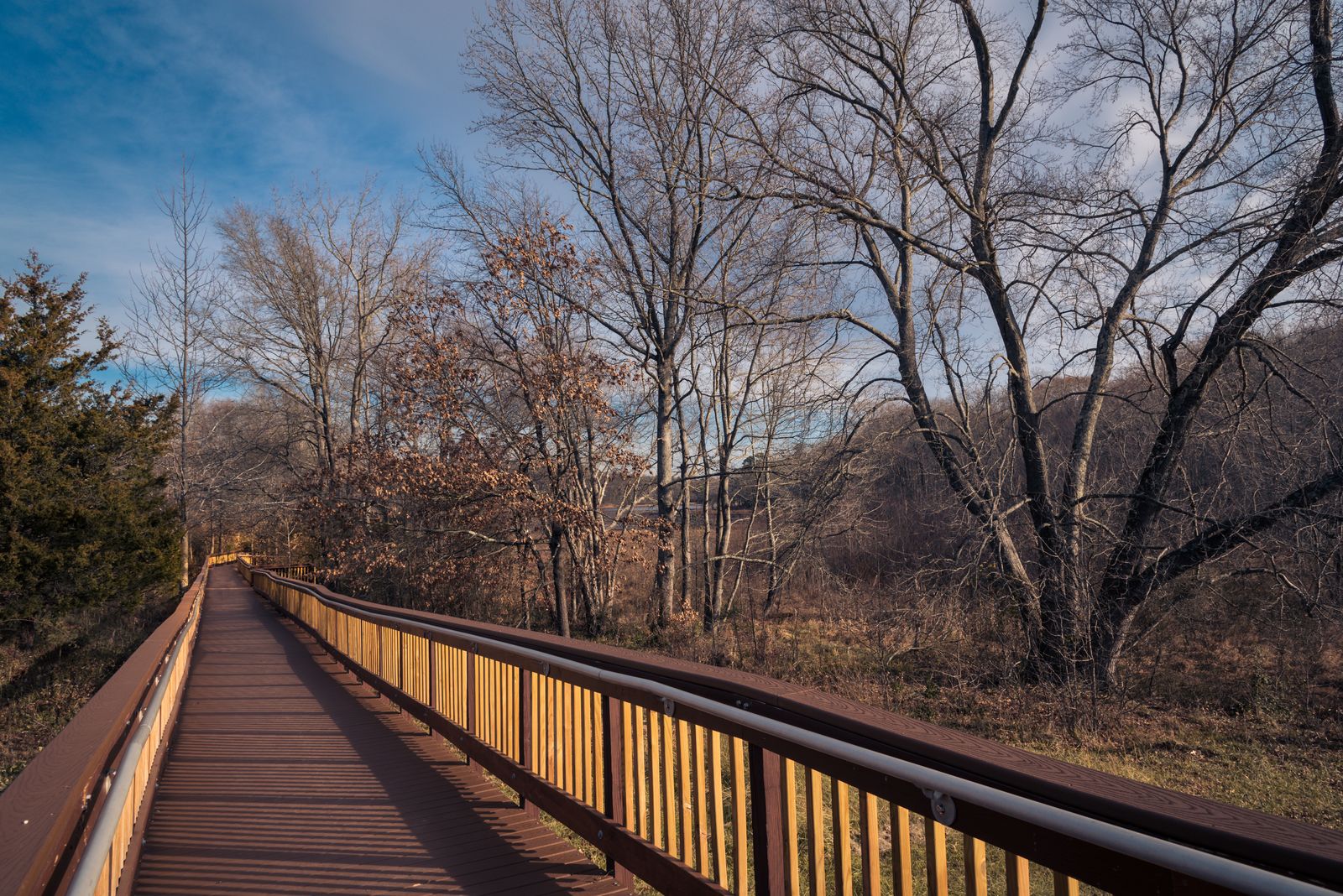 Wooded boardwalk trail near the Patuxent Research Refuge in West Laurel, MD
